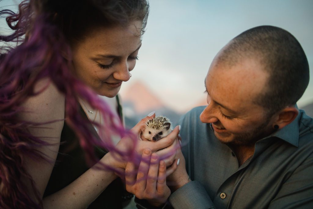 Couple holds their little hedgehog after hiking a mountain for their proposal photoshoot